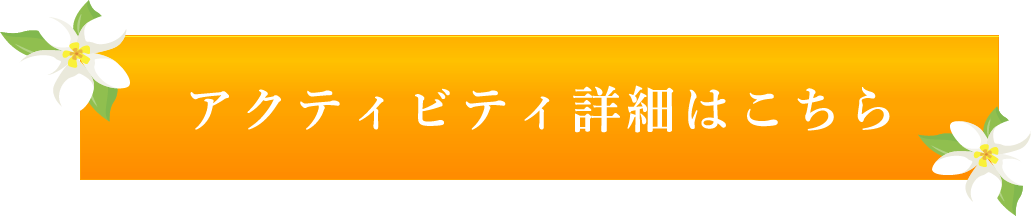 アクティビティの詳細はこちら
