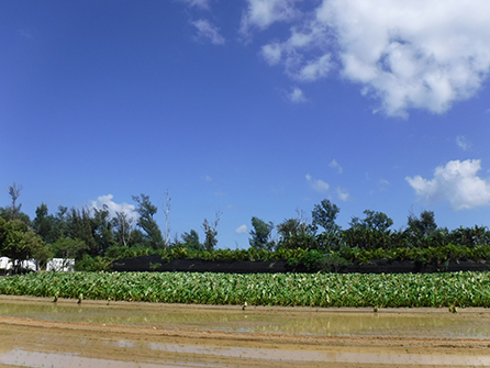 寮ステイイメージ画像